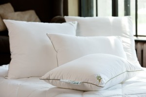 Где можно выбрать и купить дешевую подушку в Москве?